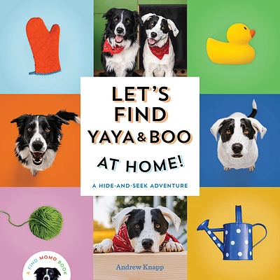 Let's Find Yaya and Boo at Home!: A Hide-and-Seek Adventure (Find Momo #6) (Board book)