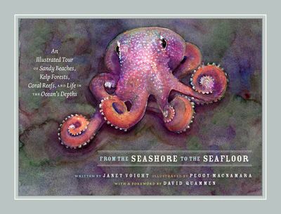 From the Seashore to the Seafloor: An Illustrated Tour of Sandy Beaches, Kelp Forests, Coral Reefs, and Life in the Ocean's Depths (Hardcover)