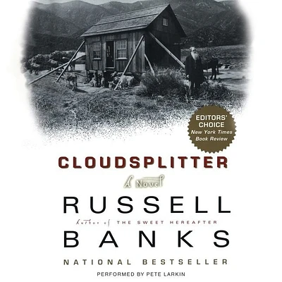 Cloudsplitter (Compact Disc)