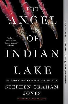 The Angel of Indian Lake (The Indian Lake Trilogy #3) (Paperback)