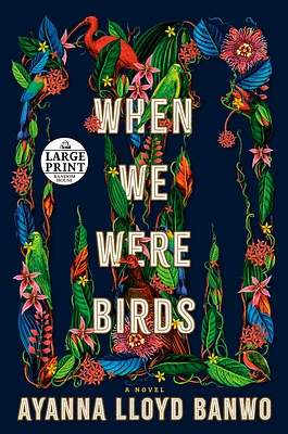 When We Were Birds: A Novel (Large Print / Paperback)