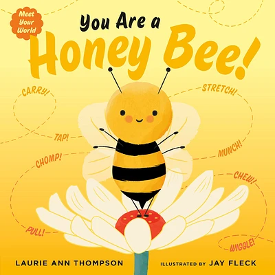 You Are a Honey Bee! (Meet Your World) (Hardcover)