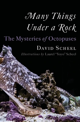 Many Things Under a Rock: The Mysteries of Octopuses (Hardcover)