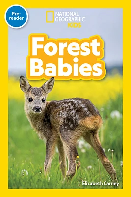 Forest Babies (National Geographic Kids Readers, Pre-Reader) (Paperback)