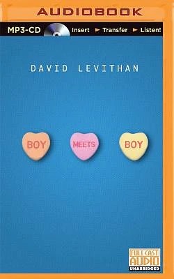 Boy Meets Boy (MP3 CD)