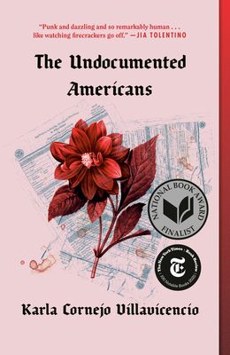 The Undocumented Americans (Paperback)