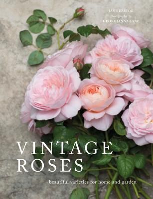 Vintage Roses: Beautiful Varieties for Home and Garden (Hardcover)