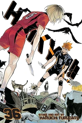 Haikyu!!, Vol. 36 (Paperback)