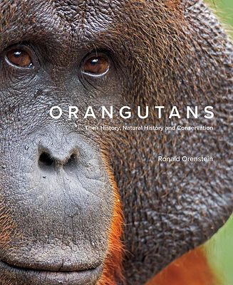 Orangutans: Their History, Natural History and Conservation (Hardcover)