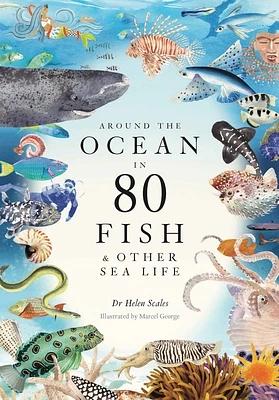 Around the Ocean in 80 Fish and other Sea Life (Hardcover)