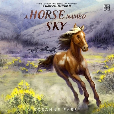 A Horse Named Sky (Compact Disc)