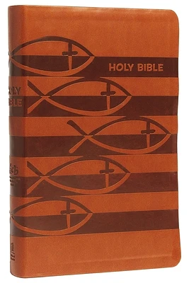 Icb, Holy Bible, Leathersoft