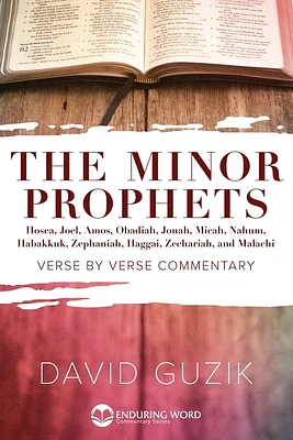 Minor Prophets (Paperback)