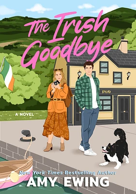 The Irish Goodbye: A Novel (Paperback)