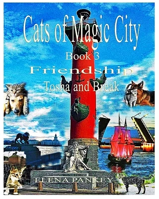 Cats of Magic City: Book 3. Friendship. Tosha and Break (Paperback)