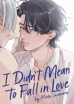 I Didn't Mean to Fall in Love (Paperback)