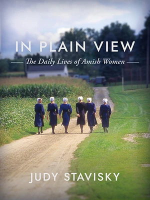 In Plain View: The Daily Lives of Amish Women (Hardcover)