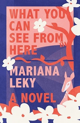 What You Can See from Here: A Novel (Hardcover)