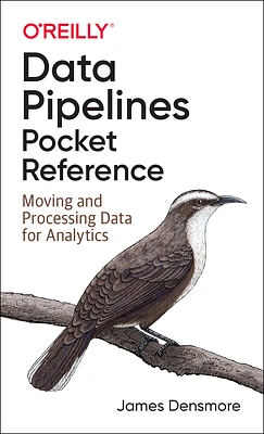 Data Pipelines Pocket Reference: Moving and Processing Data for Analytics (Paperback)