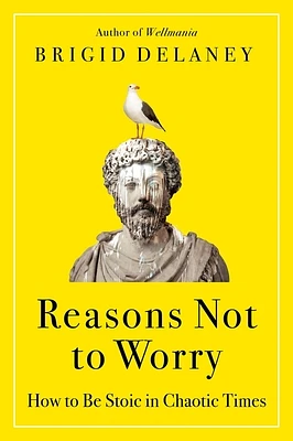 Reasons Not to Worry: How to Be Stoic in Chaotic Times (Paperback)