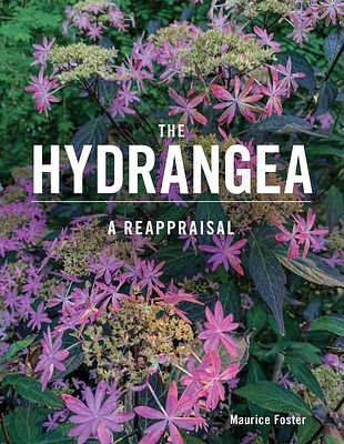 The Hydrangea: A Reappraisal (Hardcover)