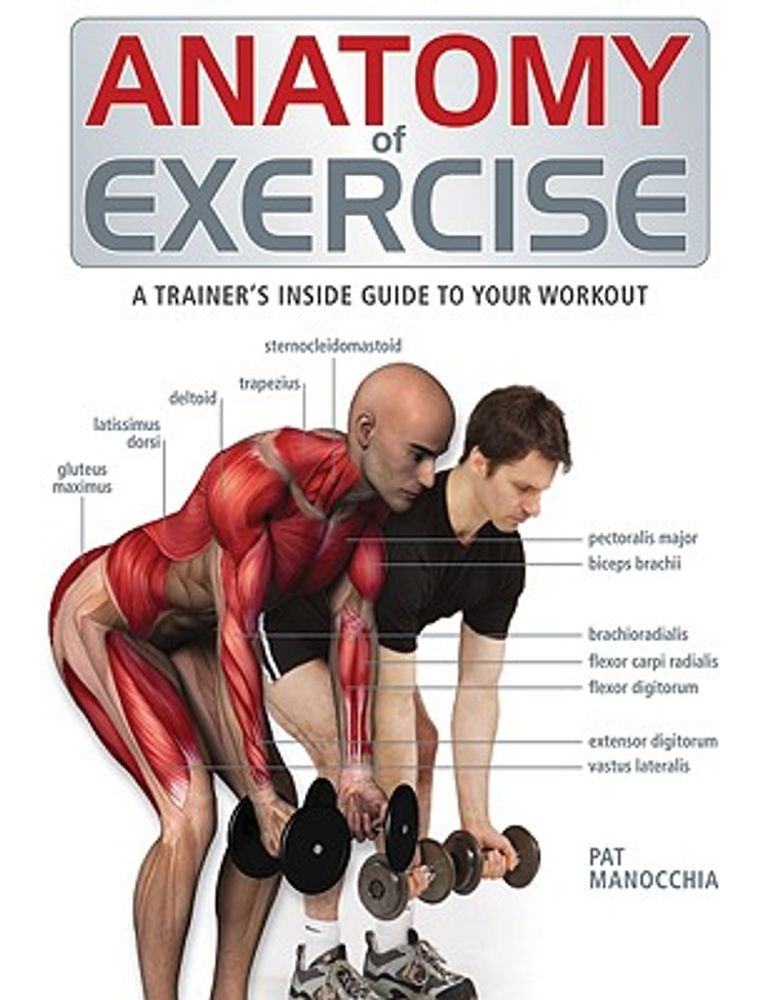 Be IronFit: Time-Efficient Training Secrets for Ultimate Fitness