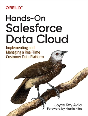 Hands-On Salesforce Data Cloud: Implementing and Managing a Real-Time Customer Data Platform (Paperback)