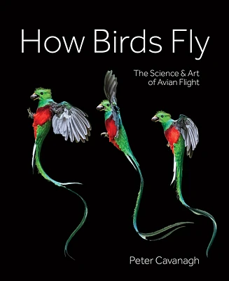 How Birds Fly: The Science and Art of Avian Flight (Hardcover)