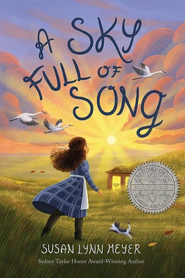 A Sky Full of Song (Paperback)