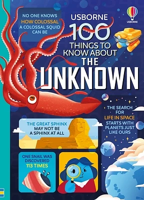 100 Things to Know About the Unknown: A fact book for kids (Hardcover)