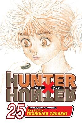 Hunter x Hunter, Vol. 25 (Paperback)