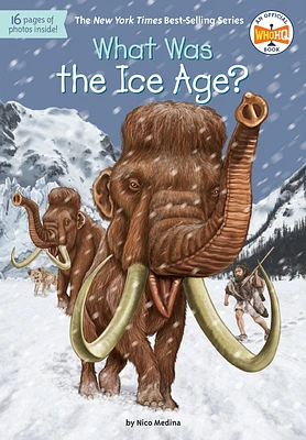 What Was the Ice Age? (What Was?) (Paperback)