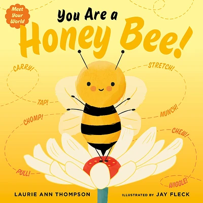 You Are a Honey Bee! (Meet Your World) (Board book)