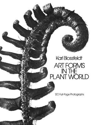 Art Forms in the Plant World (Dover Pictorial Archive) (Paperback)