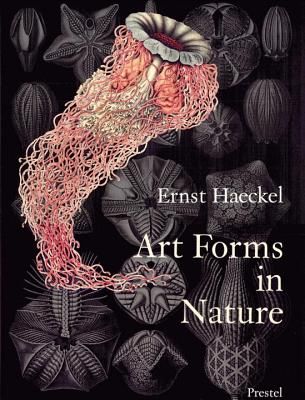 Art Forms in Nature: The Prints of Ernst Haeckel (Paperback)