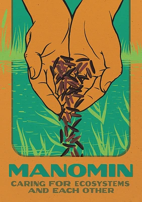 Manomin: Caring for Ecosystems and Each Other (Paperback)