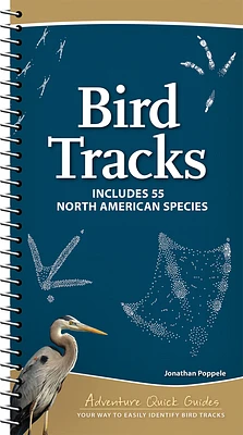 Bird Tracks: Includes 55 North American Species (Adventure Quick Guides) (Spiral)