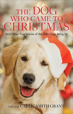 The Dog Who Came to Christmas: And Other True Stories of the Gifts Dogs Bring Us