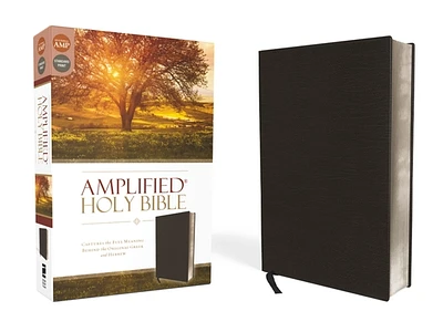 Amplified Bible-Am: Captures the Full Meaning Behind the Original Greek and Hebrew (Bonded Leather