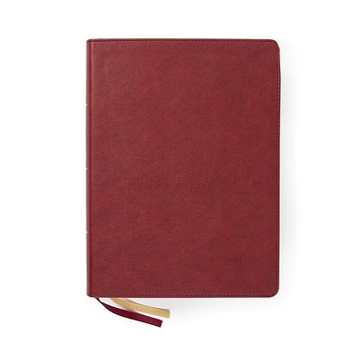 CSB Holy Land Illustrated Bible, Burgundy LeatherTouch: A Visual Exploration of the People, Places, and Things of Scripture (Leather / fine binding)