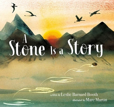 A Stone Is a Story (Hardcover)