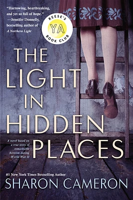 The Light in Hidden Places (Paperback)