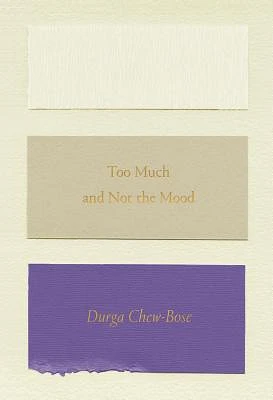 Too Much and Not the Mood: Essays (Paperback)