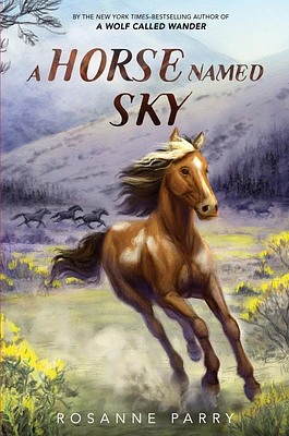 A Horse Named Sky (A Voice of the Wilderness Novel) (Hardcover)