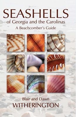 Seashells of Georgia and the Carolinas: A Beachcomber's Guide (Paperback)