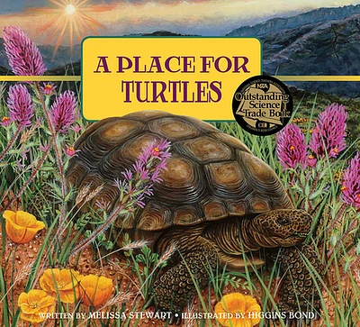 A Place for Turtles (A Place For. . . #6) (Paperback)