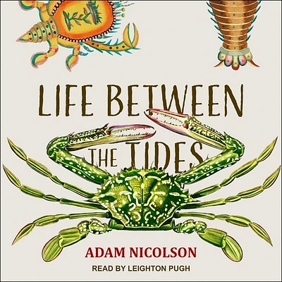 Life Between the Tides (Compact Disc)