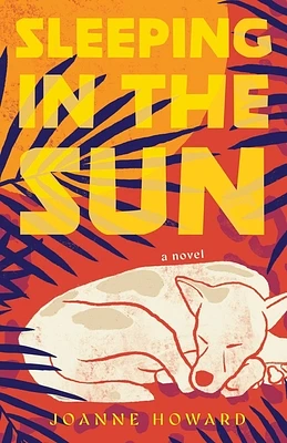 Sleeping in the Sun: A Novel (Paperback)