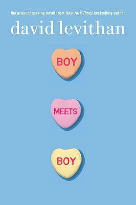 Boy Meets Boy (Paperback)