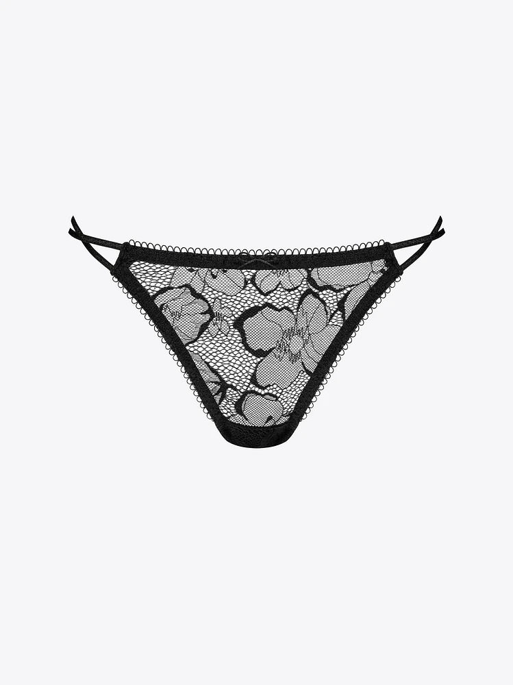 Camellia Mini String